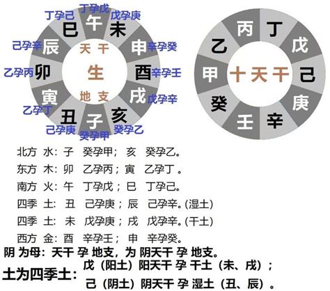 壬 卯五行|十二地支藏干 十二地支五行属性对照表